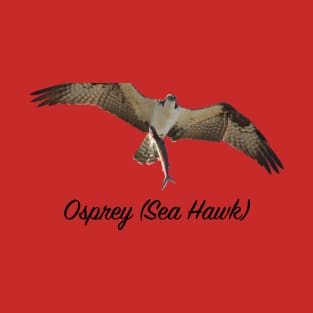 Ospray Sea Hawk The Bird of Prey T-Shirt