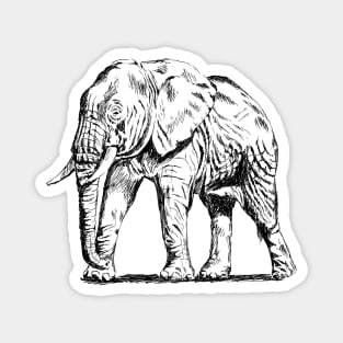 Elephant Print Magnet