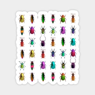 Bugs Magnet