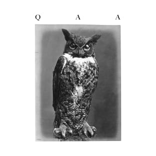 QAA Moloch the Owl T-Shirt