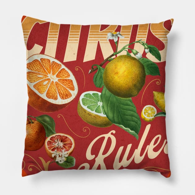 Citrus Vintage retro poster Pillow by SpaceWiz95