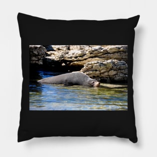 Phoque faisant la sieste Pillow