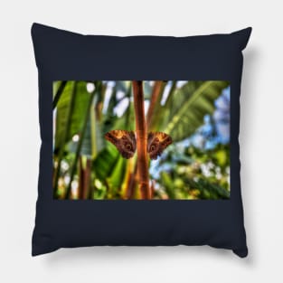 Dusky Giant Owl Butterflies Pillow