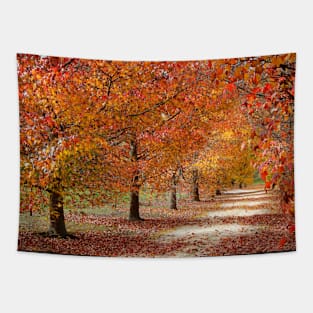 Autumn Pathway Tapestry