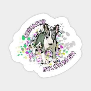 Miniature Bull Terrier Splash Magnet