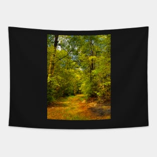 Secluded Forest Tapestry