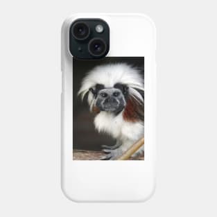 Cotton-top Tamarin Phone Case