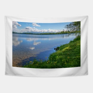 Clear Wasilla Lake Tapestry