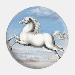 white horse vintage paint Pin