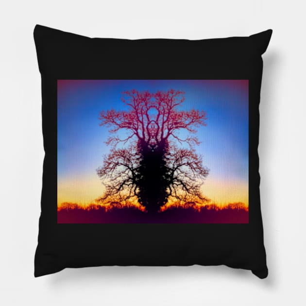 Queen Of The Tree Tiger Pillow by heidiannemorris