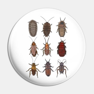 Cockroach pattern Pin