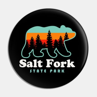 Salt Fork State Park Ohio Bear Retro Sunset Pin