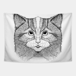 Cat 11 Tapestry