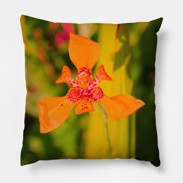 Orange lily blossom on yellow background Pillow by kall3bu