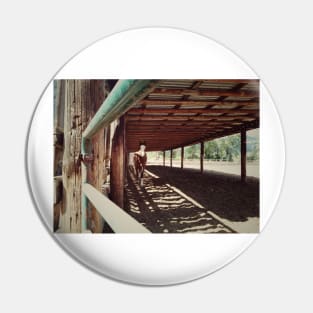 Horse stable. Canadian countryside with farm animal concept. Pin