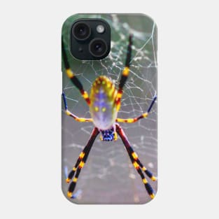 Orb Weaver Spider Phone Case