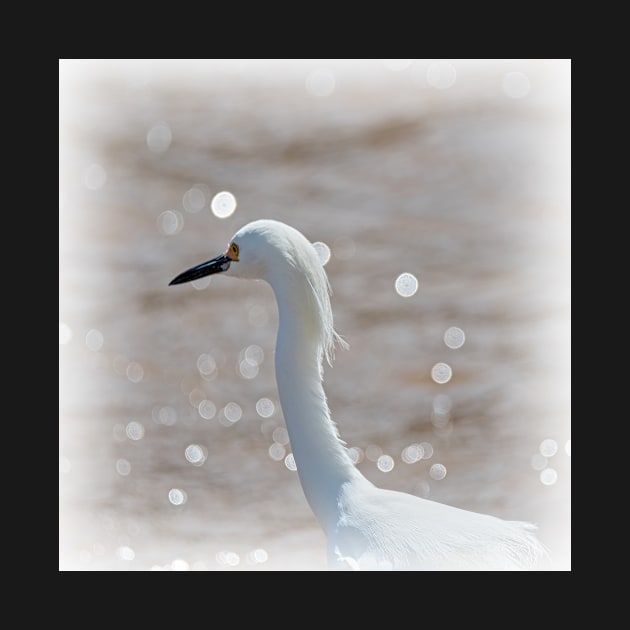 Profile of a Snowy Egret by Debra Martz by Debra Martz