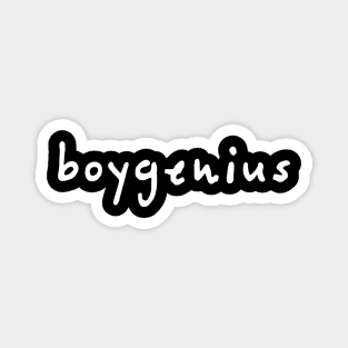 boygenius Magnet