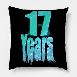 17 years old Pillow