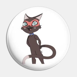 Cat Burglar Pin