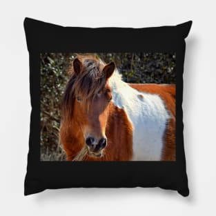 Assateague Pony Ms Macky Portrait Pillow