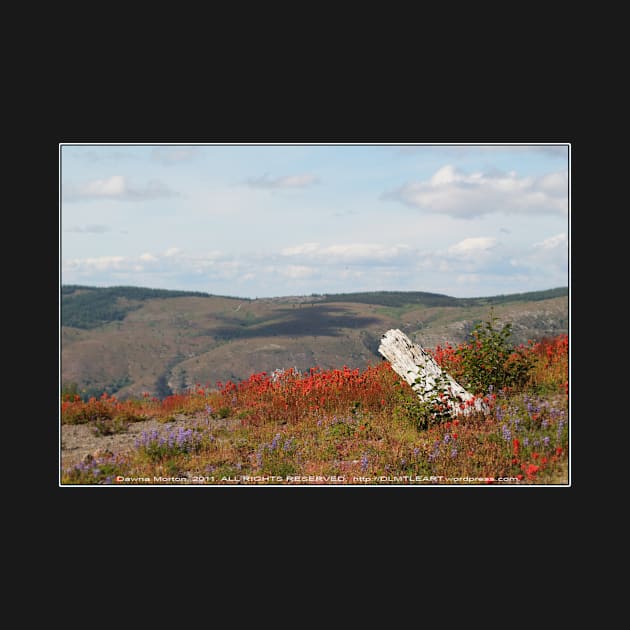 dead tree & paintbrush wildflowers on Johnston's Ridge by DlmtleArt