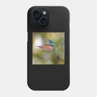 Green Violetear Hummingbird Phone Case