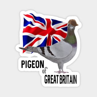 Pigeon of Great Britain Magnet