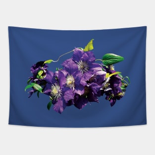 Clematis - Purple Clematis with Vine Tapestry