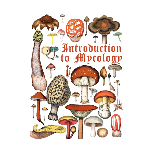 An Introduction to Mycology by bullshirter