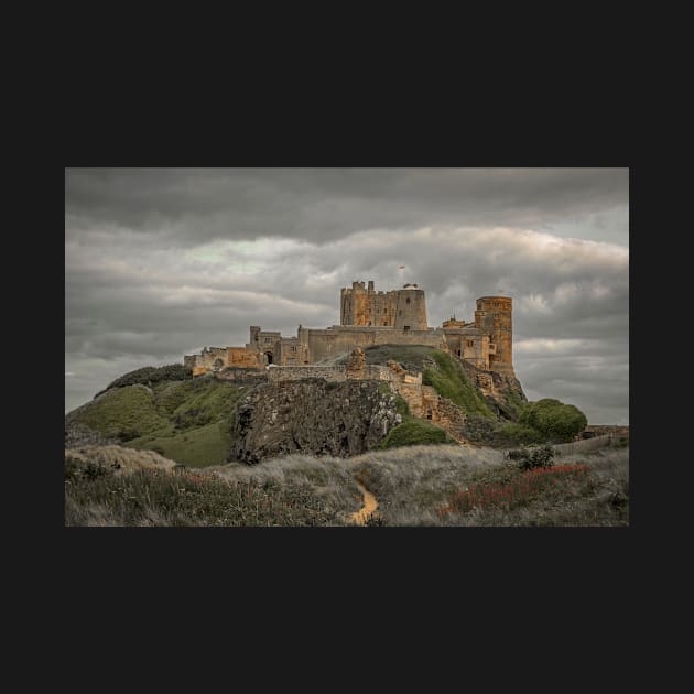 Bamburgh Castle Northumberland by tynesidephotos