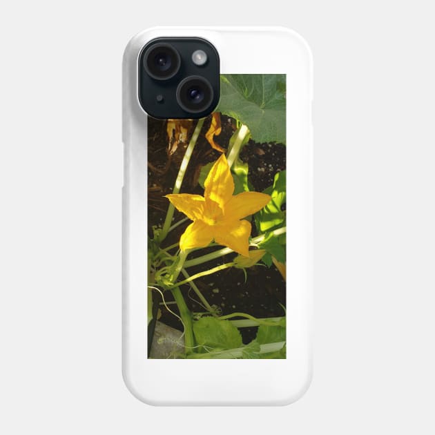 Squash Blossom Phone Case by laceylschmidt