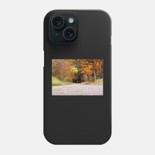 Autumn Tree Tunnel Phone Case