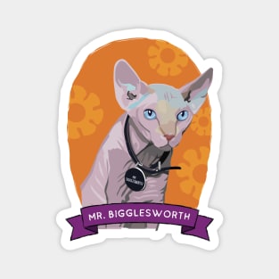 Mr. Bigglesworth Magnet