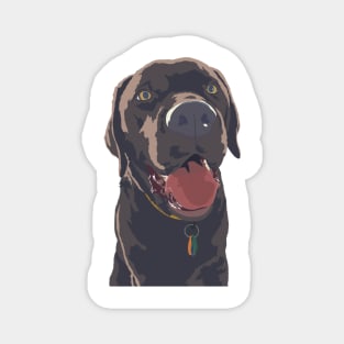 Chocolate Lab Magnet