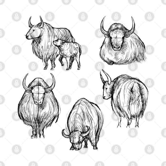 Sketches of a Yak by AniaArtNL