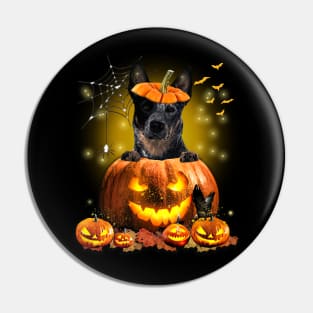 Blue Heeler Spooky Halloween Pumpkin Dog Head Gift Pin