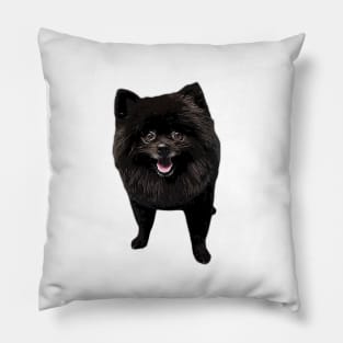 Pomeranian Black Beauty Pillow