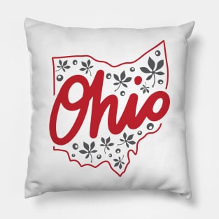 Ohio Script Graphic Pillow