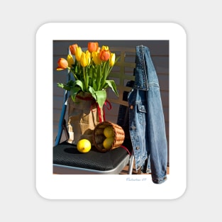 Tulips in a Lunch Bag Magnet