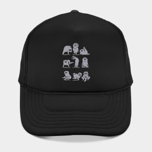 Scottish Fold Yoga Hat
