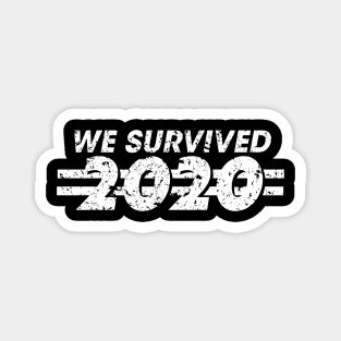 We Survived 2020 Magnet