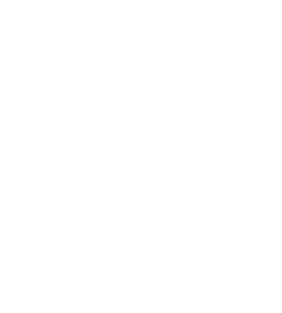 Big Buck Energy Magnet