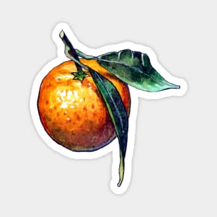 Single Watercolor Tangerine Magnet