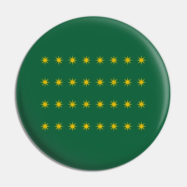 Fenian Brotherhood County Stars Flag Pin by feck!