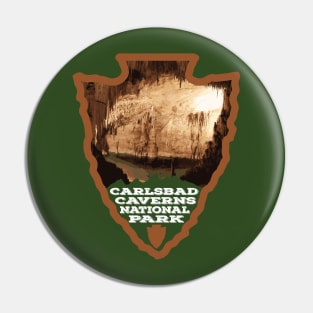 Carlsbad Caverns National Park arrowhead Pin