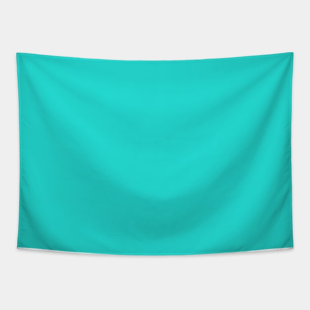 Turquoise Solid Color Tapestry by Whoopsidoodle