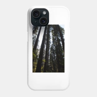 Lost in the Woods Phone Case