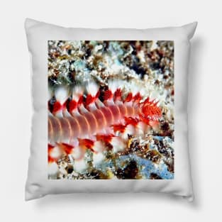 Bearded Fire Worm Pillow