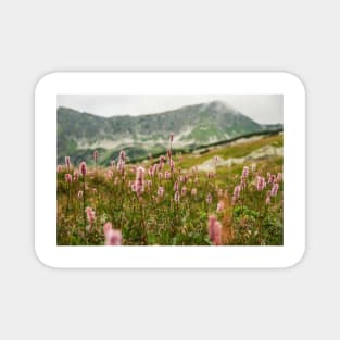 Mountain meadow Magnet